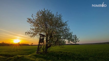 Nimrod wild taste composing with nature