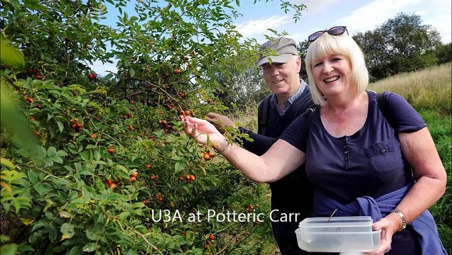 How Doncaster U3A is helping beat loneliness