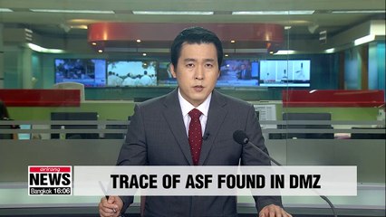 Carcass of wild boar found in DMZ tests positive for ASF