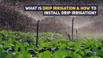 Drip irrigation System Design Installation Process