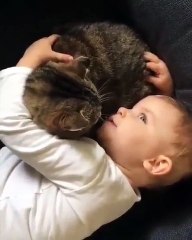 La video ADORABLE de la journée : un bébé et un chat en mode GRANDE DISCUSSION