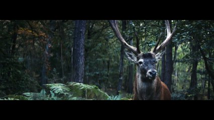 Campagne "Ensemble, continuons de recycler" (2019)