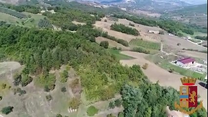 Colle D'Anchise (CB) - Coltivava marijuana tra alveari: nei guai apicoltore (03.10.19)