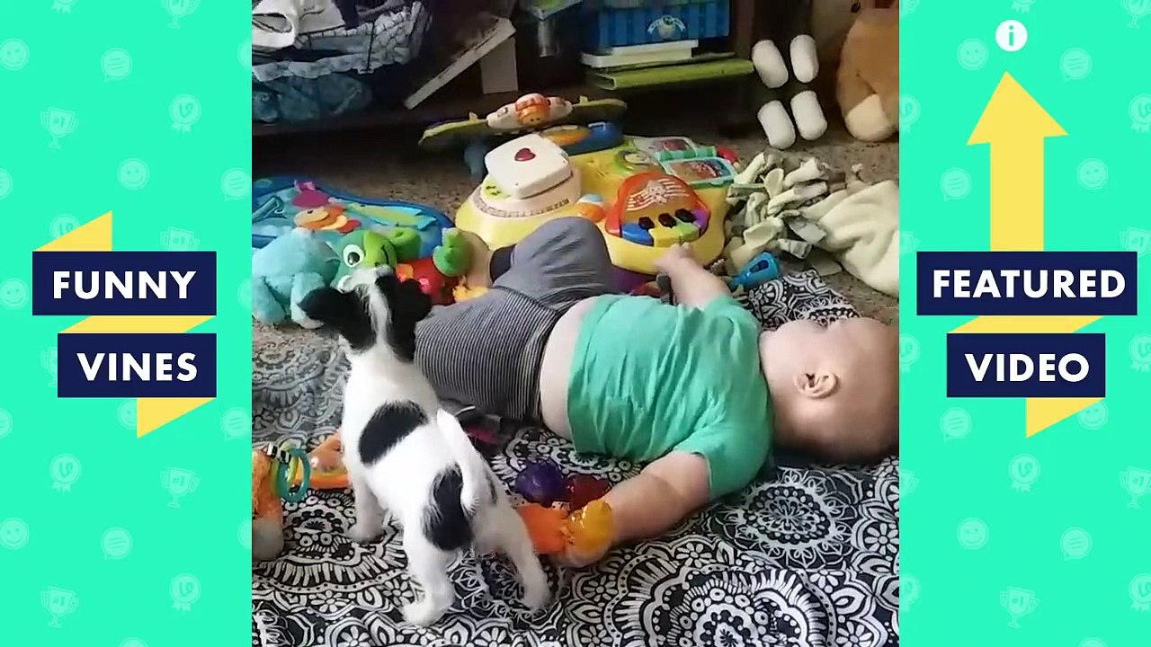 TRY NOT TO LAUGH - KIDS BABIES & DOGS! | Funny Videos November 2018