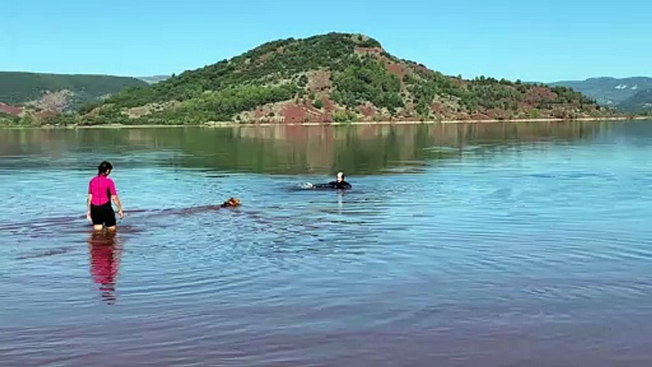 Clermont-l'Hérault : à la découverte de chiens de sauvetage au Salagou