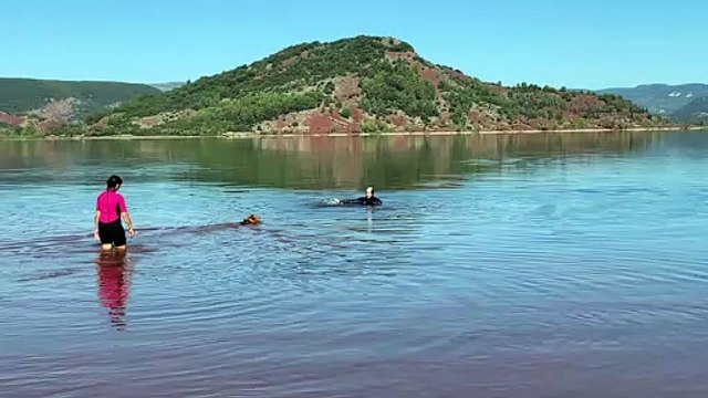 Clermont-l'Hérault : à la découverte de chiens de sauvetage au Salagou