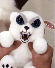 Quand un mignon toutou imite à la perfection une peluche maléfique... A vous d'apprécier