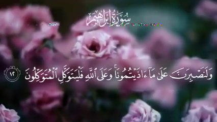 الشيخ احمد عامر-  ايات من سورة ابراهيم