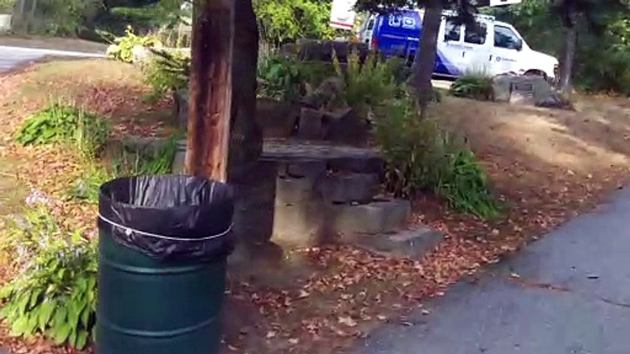 The Smallest Haunted Pocket Park
