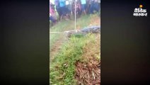 ग्रामीणों ने पकड़ा 9 फीट लंबा मगरमच्छ