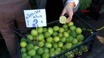 Ankara-limonun fiyatı vatandaşın yüzünü güldürdü