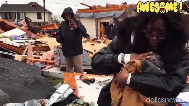 Videos de Animais! Vídeos engraçados e divertidos! Impossível não rir!