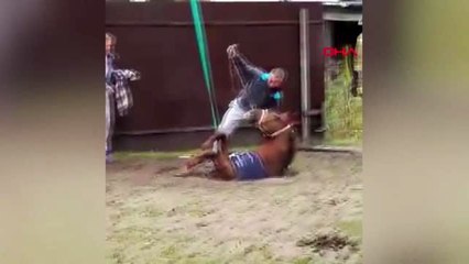 Kuyuya düşen at, vinçle kurtarıldı