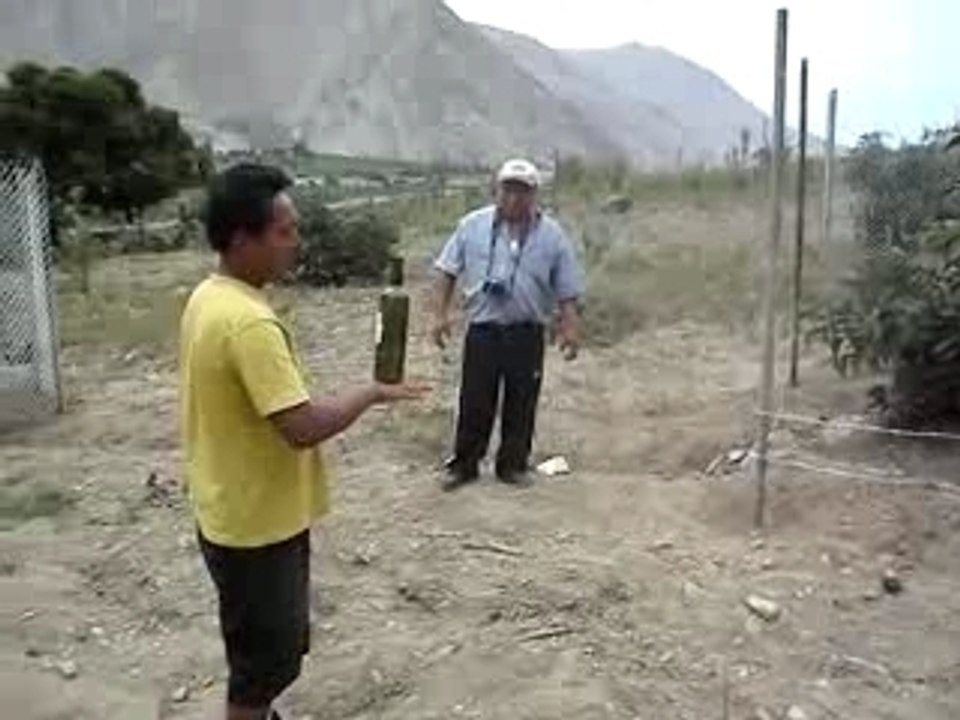 Antahuaya - Barman