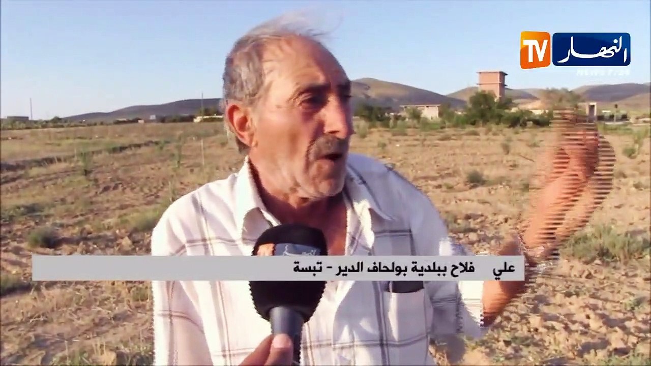 تبسة/ مستثمرة فلاحية ستتحول إلى خرسانة إسمنتية بحجة الإستثمار