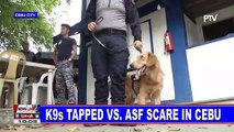 K9s tapped vs ASF scare in Cebu
