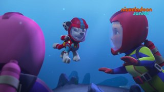 Paw Patrol : la Pat'Patrouille | Alerte au volcan ! | NICKELODEON JUNIOR