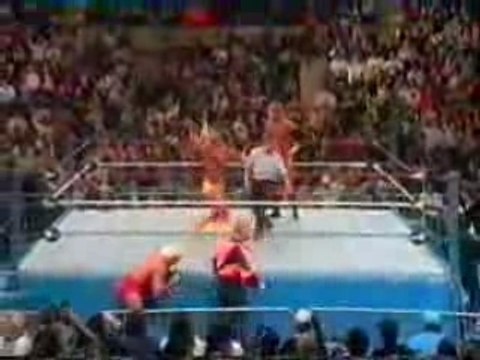 Undertaker & Ric Flair vs Hulk Hogan & Sid Justice