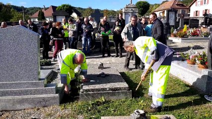 Les solutions de végétalisation adaptées aux cimetières