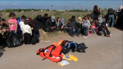 Mısır tarlasında saklanan 50 düzensiz göçmen yakalandı - BALIKESİR