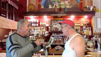 Brèves de comptoir - Un automobiliste percute un cheval