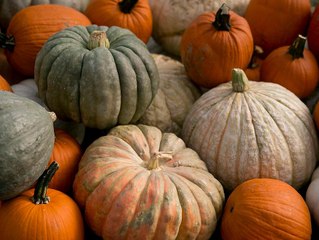 I Just Found Out Canned Pumpkin Isn't Pumpkin At All, And My Whole Life is Basically a Lie