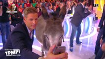 Retour sur les plus drôles séquences d'hypnoses dans TPMP