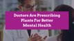 Doctors Are Prescribing Plants For Better Mental Health