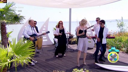 Vegas Show Band - Echame la culpa (Balatoni nyar 2019-07-17)