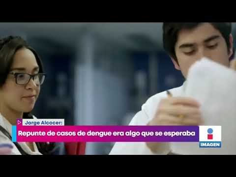 ¡Los casos de dengue en México siguen en aumento! | Noticias con Yuriria Sierra