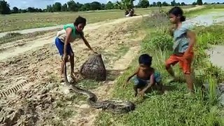 Can this happen? Children playing with poisonous big snake