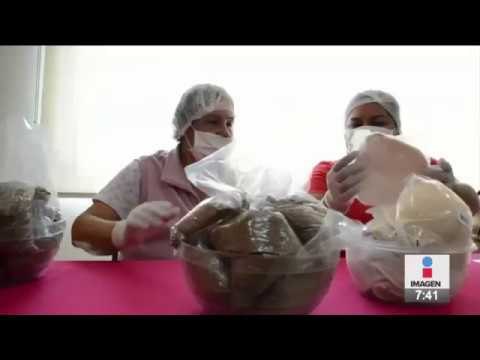 Elaboran de forma artesanal prótesis de mamá con semillas de linaza | Noticias con Paco Zea