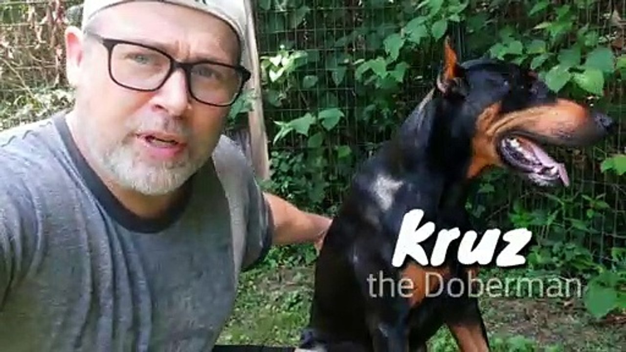 Doberman Terrifies Owner After Catching Venomous Snake