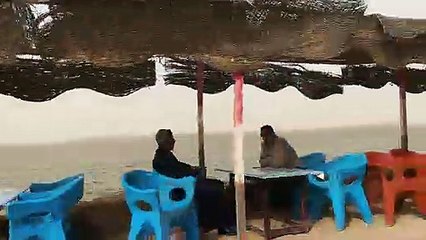 shakshuka Town In Qarun Lake Old Ancient Town In Egypt