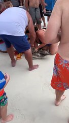 Bird Freed From Fishing Line by Beach Goers