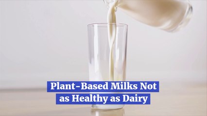 Plant Based Milk Compared To Dairy Milk