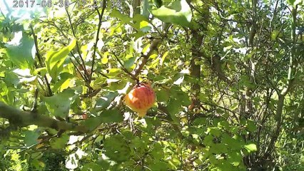 18 Fatima Pilgrimage walk across USA   #67 thank God for this church