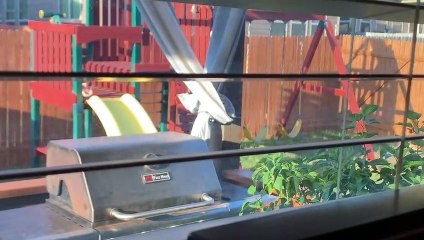 Swing Moves by Itself