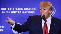 Trump Wants His Own News Network