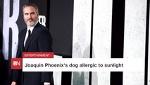 Joaquin Phoenix's Animals