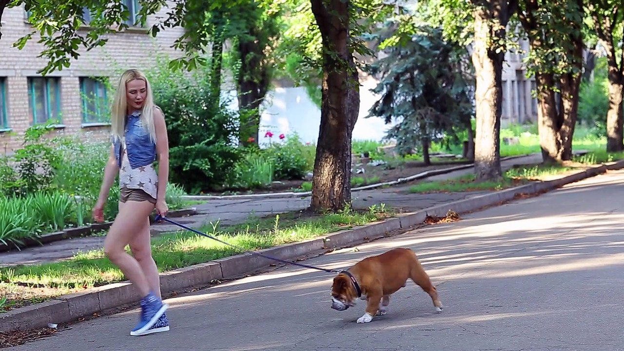 HasenChat Music - Silence is Better