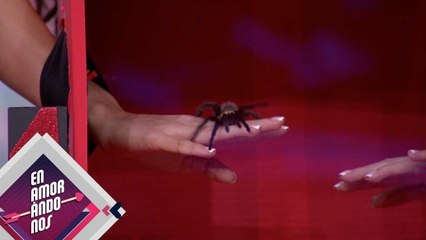 ¡Los bateados ADIVINARON que había en las "Cajas Sorpresa"! | Enamorándonos