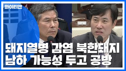 아프리카돼지열병은 北에서?...감염경로 주목 / YTN