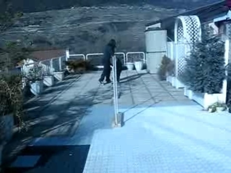 MVI_2257