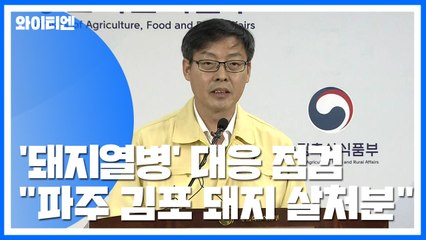 [현장영상] "파주·김포 돼지 살처분 조치 단행" / YTN