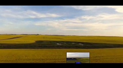 Bottoms 2023 streaming movie