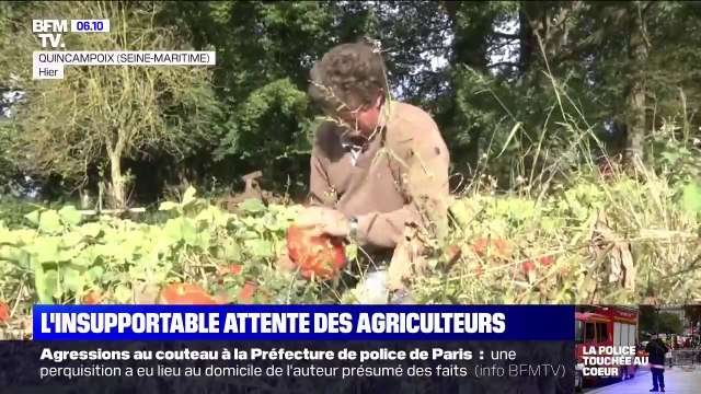 Lubrizol: les agriculteurs face à l'insupportable attente des résultats d'analyses