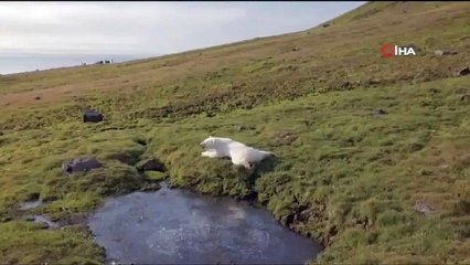 Rusya, buzullar eriyince 5 yeni adaya sahip oldu