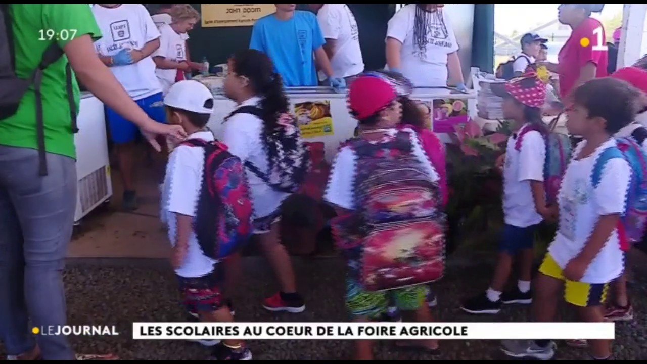 Foire agricole : travaux pratiques pour les élèves de primaire