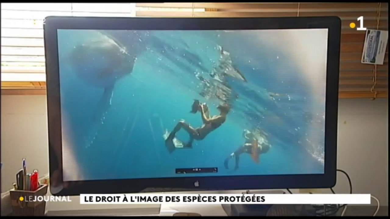 La photographie des espèces protégées fortement règlementée